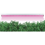 Фито Лампа LED линейная 560мм для растений 10W 11мкмоль с выкл.