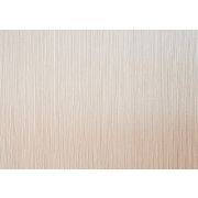 Панель МДФ с покрытием пленки ПВХ 2,71 х 0,24 6мм «Латат» Дуб молочный /8/